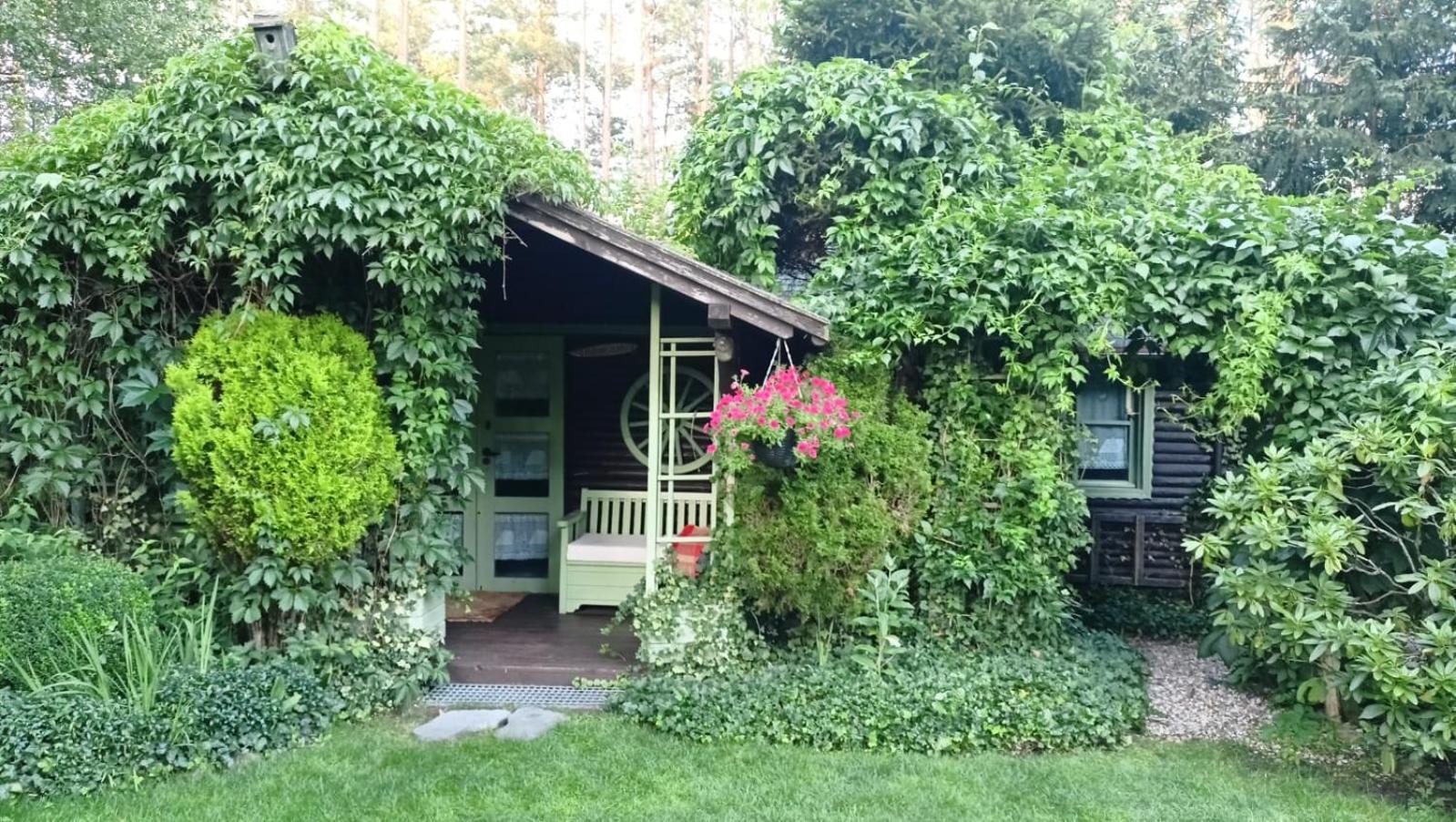 Domek Letniskowy Na Kaszubach Lub Apartament Z Kominkiem Puck Εξωτερικό φωτογραφία