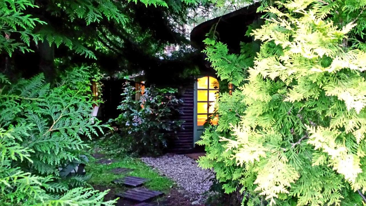 Domek Letniskowy Na Kaszubach Lub Apartament Z Kominkiem Puck Εξωτερικό φωτογραφία