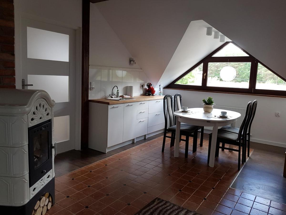 Domek Letniskowy Na Kaszubach Lub Apartament Z Kominkiem Puck Εξωτερικό φωτογραφία